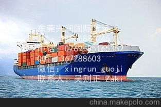 东莞兴润国际货运代理公司 虎门到印度海运双清到门 液体粉末电池图片